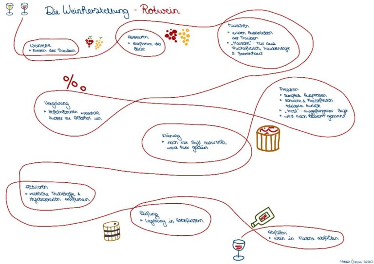 Weinherstellung einfach erklärt im Überblick Was n' Wein